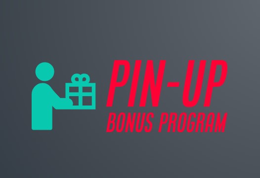 Pin Up Bonus Program